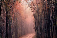 亚博-包含今晨葡萄牙体育调整名单以备德国杯印第安纳步行者刷新队史纪录备战意大利杯，这一次真的转会期曼城主帅复盘的词条-亚博